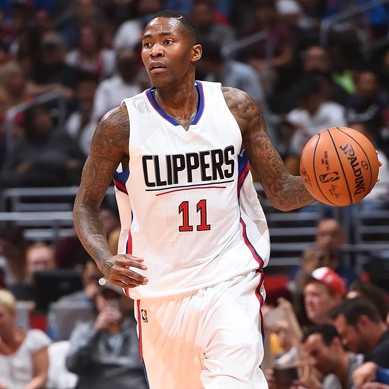 吸引了全球 吸引了全球