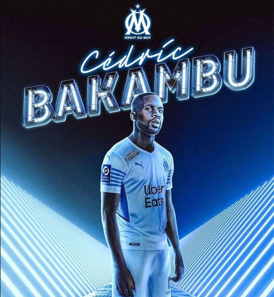 在世界杯賽 在世界杯賽