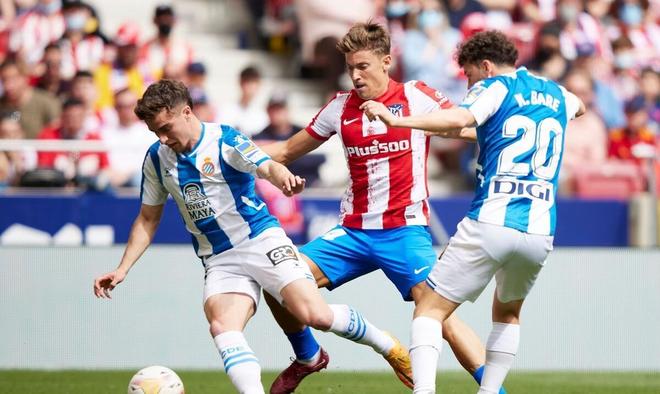 足在全球的 足在全球的