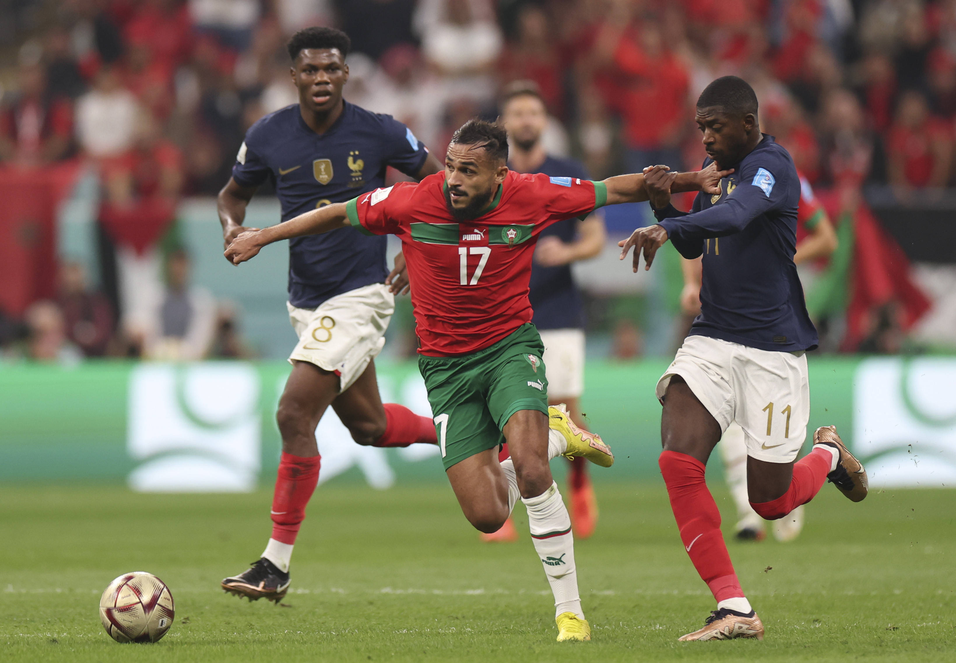 轻且具备全 轻且具备全