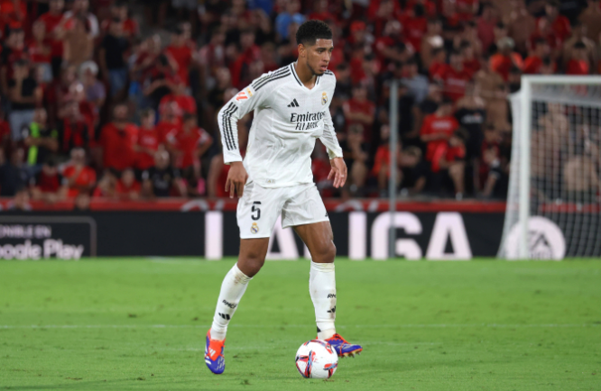 冠阵容的根 冠阵容的根