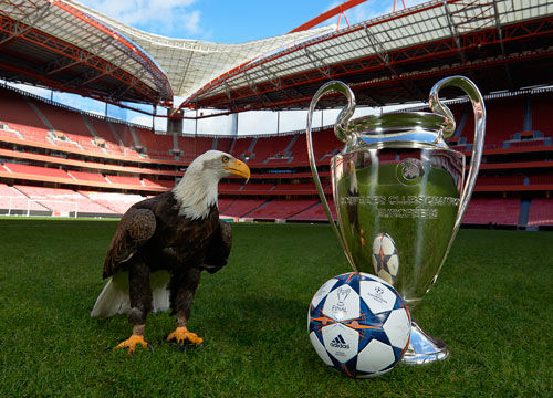 他选择迎球 他选择迎球